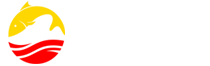 Wirelessto